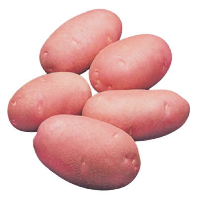 Lal Alu (Potato)_img_2