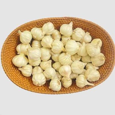 Rosun Deshi (Garlic Deshi)_img_1