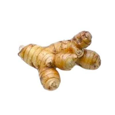 Thai Ada (Thai Ginger)_img_2