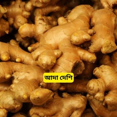 Ada Deshi (Deshi Ginger)_img_0