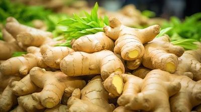 Ada Deshi (Deshi Ginger)_img_1