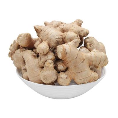 Ada China (China Ginger)_img_1