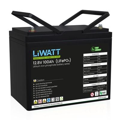 Liwatt Lithium ion LiFePo4 12.8V 100AH IPS/UPS Battery_img_0