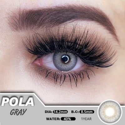 ksseye pola gray lens_img_0