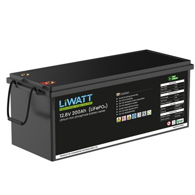 Liwatt Lithium ion LiFePo4 25.6V 100AH IPS/UPS Batter_img_0