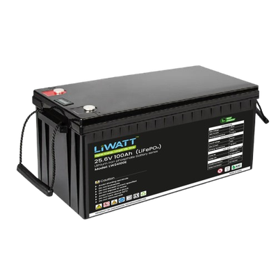 Liwatt Lithium ion LiFePo4 25.6V 100AH IPS/UPS Batter_img_2
