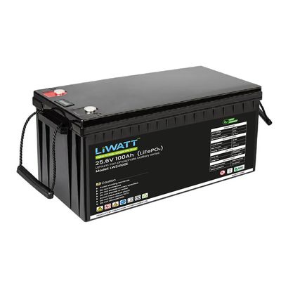 Liwatt Lithium ion LiFePo4 25.6V 100AH IPS/UPS Batter_img_3