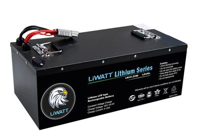 Liwatt Lithium ion LiFePo4 51.2V 60AH Easybike Battery_img_0