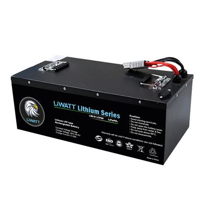 Liwatt Lithium ion LiFePo4 51.2V 100AH Easybike Battery_img_1