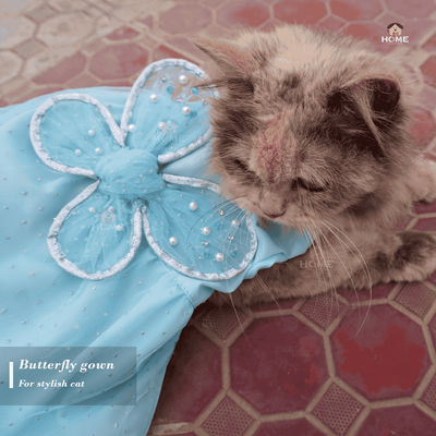 Cat butterfly gown_img_4
