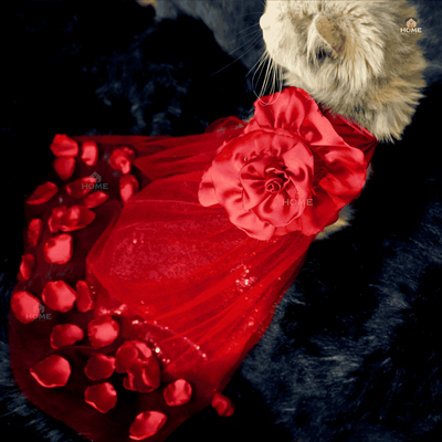 Flower gown_img_8