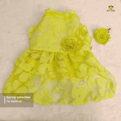 Frock_img_0