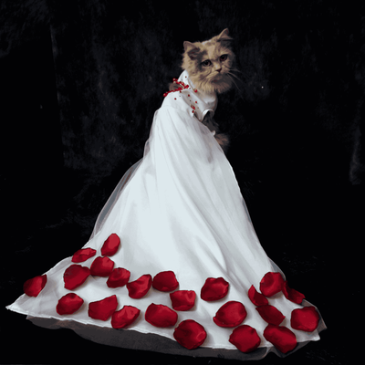 white gown_img_1