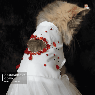 white gown_img_3