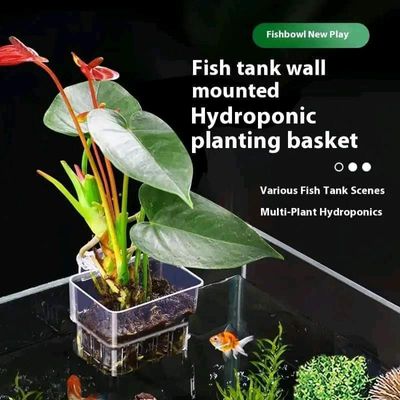 acrylic plant holder_img_0
