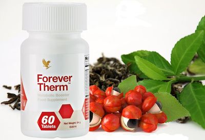 Forever Therm – ফরএভার থার্ম_img_3