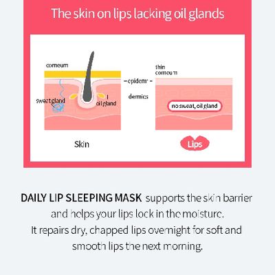 Farmstay Daily Lip Sleeping Mask Red Propolis_img_3