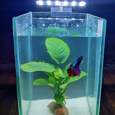 X3 Aquarium led light_img_0