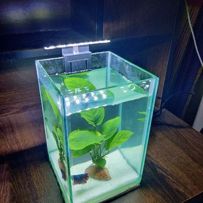 X3 Aquarium led light_img_1
