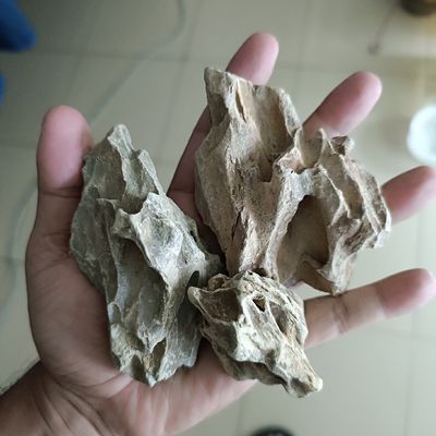 dragon stone ( 1 kg)_img_1