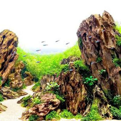 dragon stone ( 1 kg)_img_4