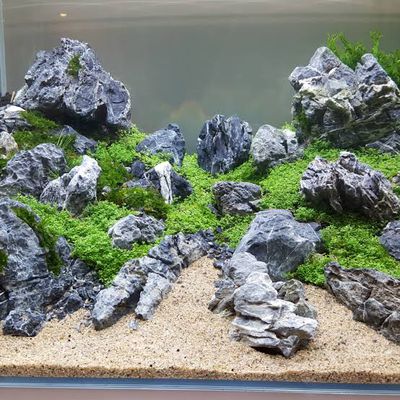Seiryu stone (1 kg)_img_1