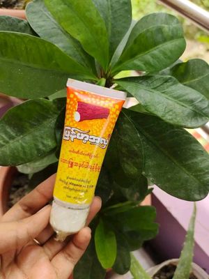 Shwe Pyi Nann Thanaka Sunscreen_img_1