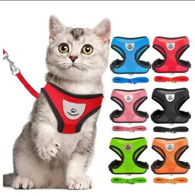 Clothe harness - multicolour_img_0