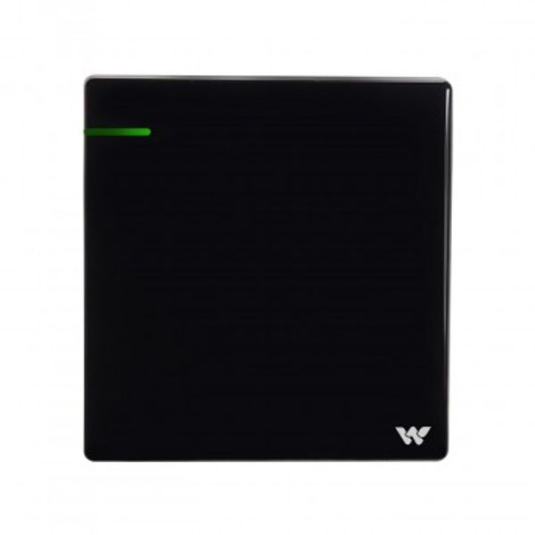 WC1GS1 1 GANG SWITCH-1 WAY CRYSTAL