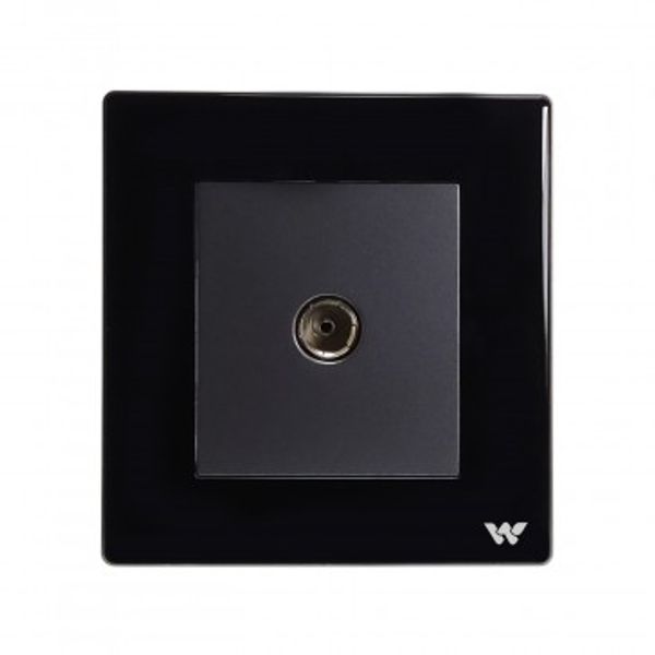 WCTVS TV SOCKET CRYSTAL