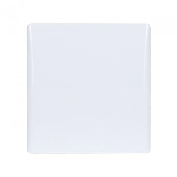 WCLBP BLANK PLATE CLASSIC