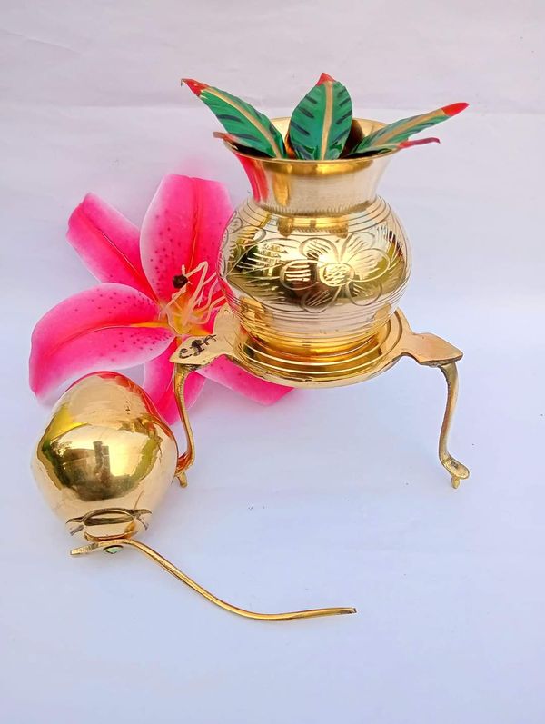 ডাব ঘট সিপায়া আমপাতা কম্বো