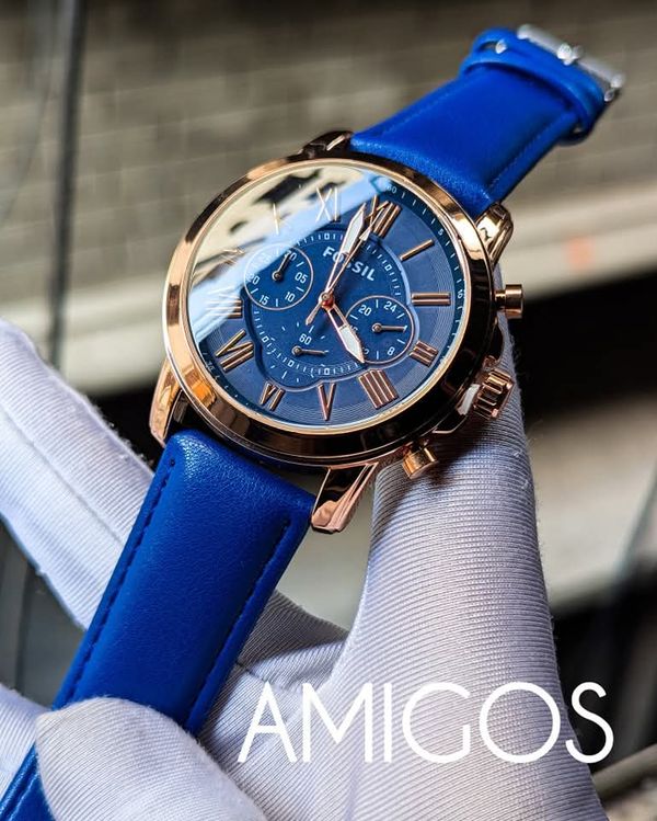 Fossil grant chrono