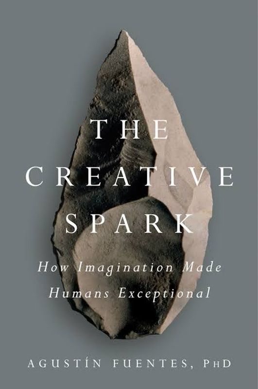 The Creative Spark: How Imagination Made Human Exceptional