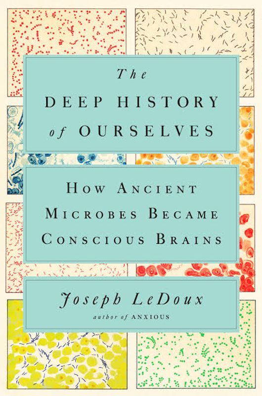 The Deep History of Ourselves: The Four-Billion-Year Story of How We Got Conscious Brains