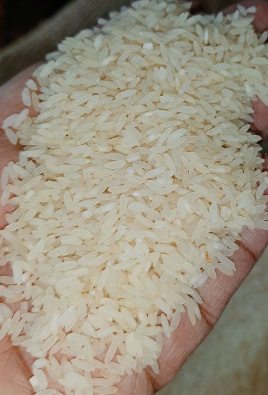 স্বর্ণলতা চাল