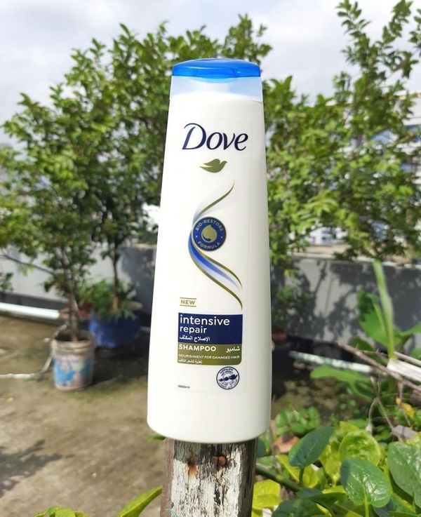 Dove intensive repair shampoo ( UAE )