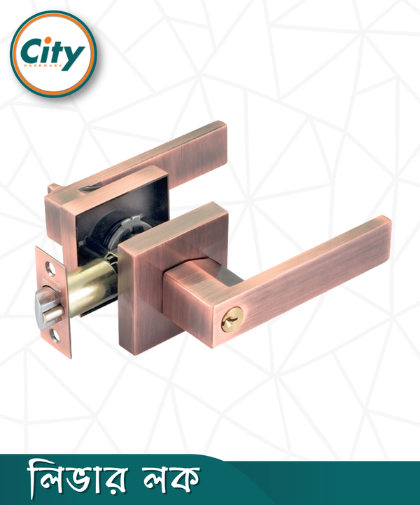 আধুনিক দরজার হ্যান্ডল লক সহ এক সাইড চাবি এক সাইড নব ডোর লক অ্যান্টিক দরজার লক Door Lock