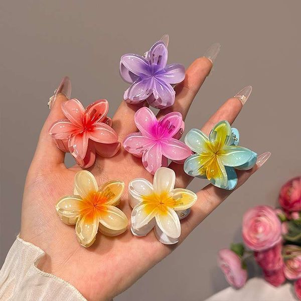 Small Size Claw clips