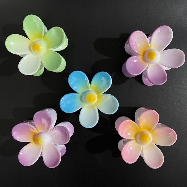 Gradient colour egg flowers clip