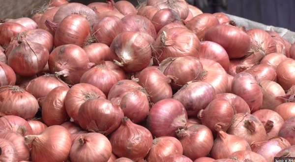 পেঁয়াজ(onion)/  ১ কেজি
