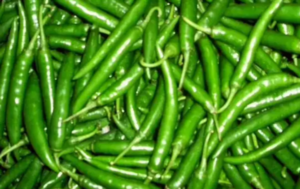 কাঁচা মরিচ (Chili pepper)/ ১ কেজি
