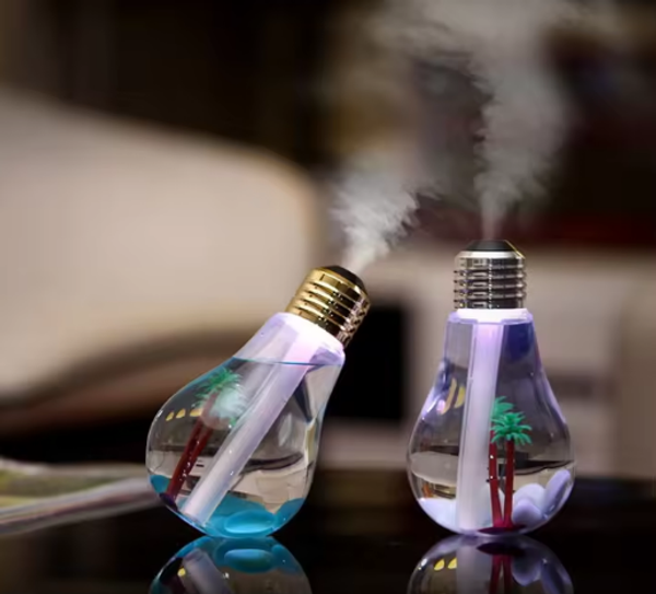 Bulb Humidifier