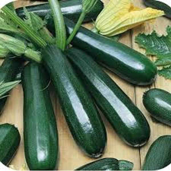 হাইব্রিড স্কোয়াশ বীজ
