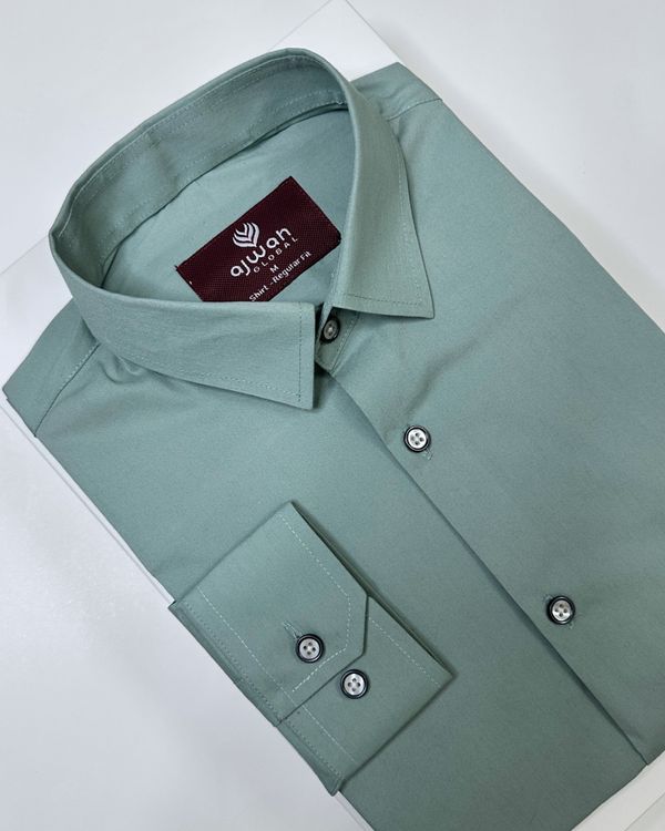 Men’s Sage Green Solid Shirt