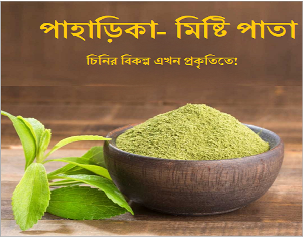 চিনির বিকল্প - পাহাড়িকা মিষ্টি পাতা