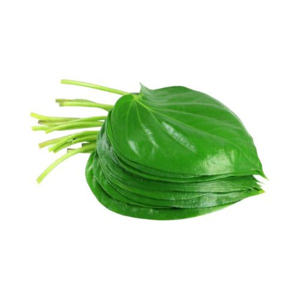 Betel Leaf (Bangla Paan) 20Pcs বাংলা পান