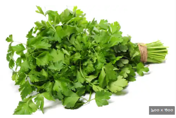 ধনে পাতা – Coriander (করিয়্যান্ডার)
