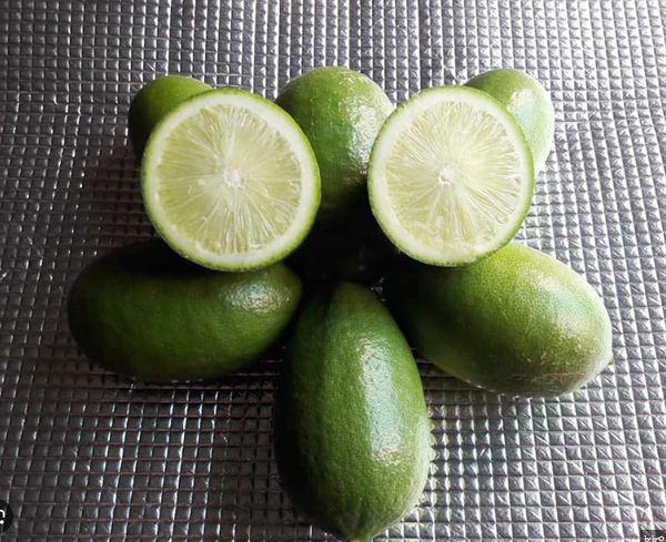 লেবু – Lemon (লেমন)