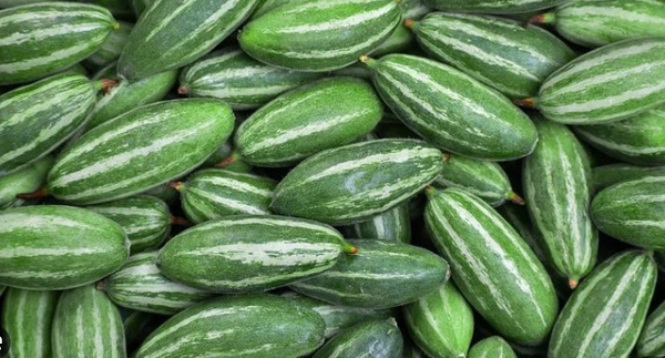 পটল – Pointed gourd (পয়েন্টেড গোর্ড) ১ কেজি